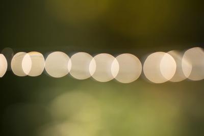 Photographic Print, , small