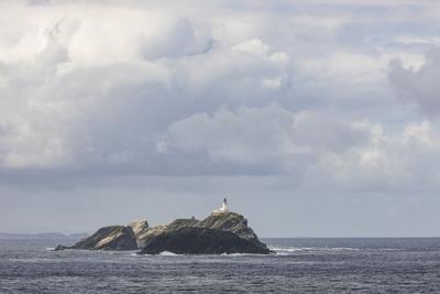 Photographic Print, , small