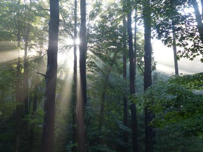 Photographic Print, , small