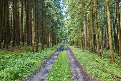 Photographic Print, , small