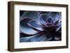 Succulent Plant in Close-up-Paivi Vikstrom-Framed Photographic Print