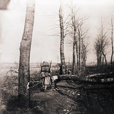 Photographic Print, , small