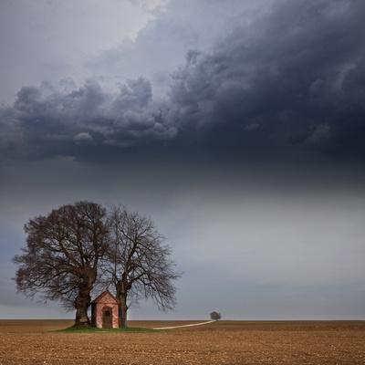 Photographic Print, , small