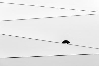 Photographic Print, , small