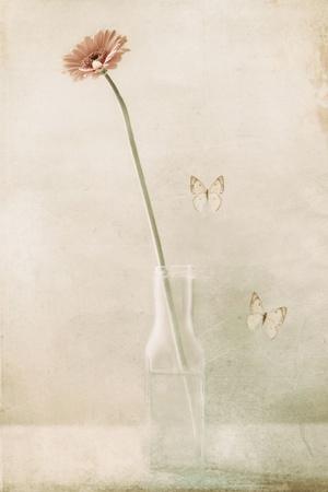 Photographic Print, , small