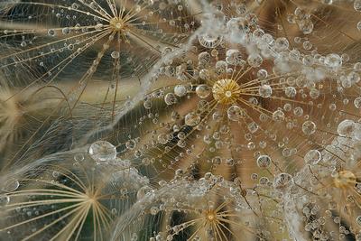 Photographic Print, , small