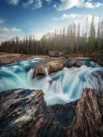 Photographic Print, , small