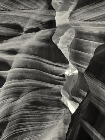 Photographic Print, , small