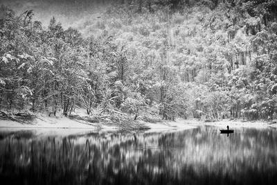Photographic Print, , small