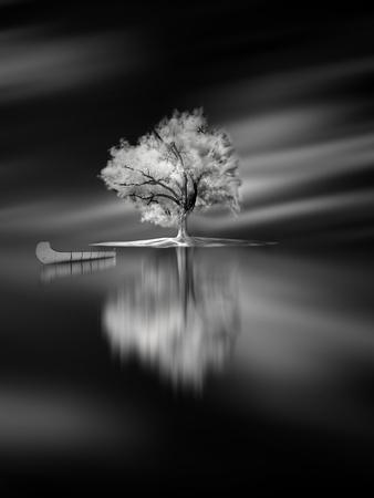 Photographic Print, , small