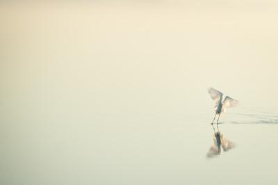 Photographic Print, , small