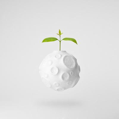 Photographic Print, , small