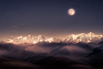 Photographic Print, , small