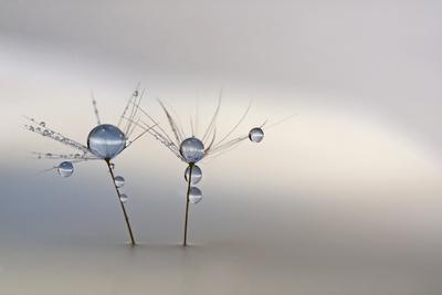 Photographic Print, , small