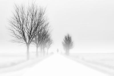 Photographic Print, , small