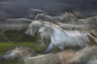 Photographic Print, , small