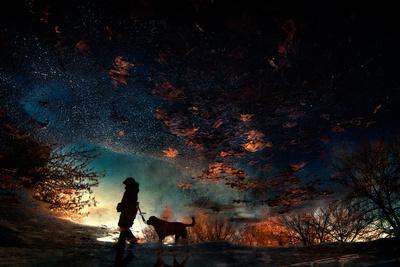 Photographic Print, , small