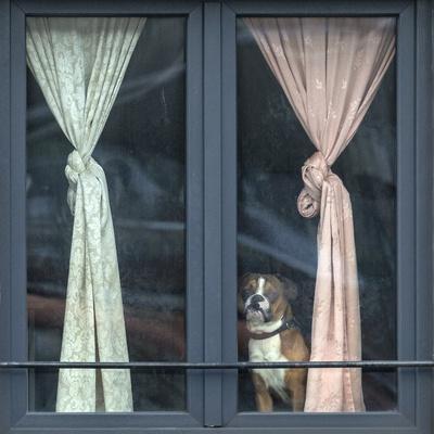 Photographic Print, , small