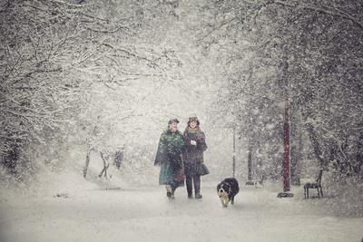 Photographic Print, , small
