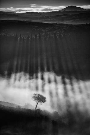 Photographic Print, , small