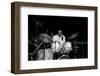 Elvin Jones, Fairfield Halls, Croydon, Surrey, November, 1987-Brian O'Connor-Framed Photographic Print