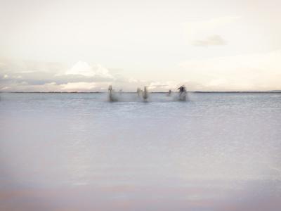 Photographic Print, , small