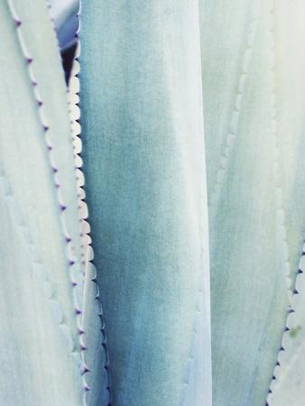 Photographic Print, , small