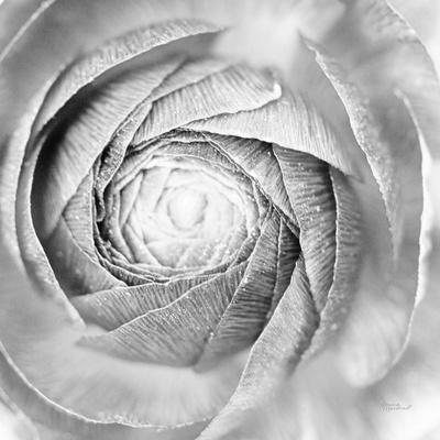 Photographic Print, , small