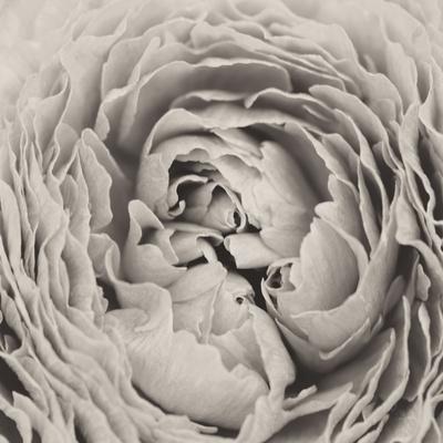 Photographic Print, , small