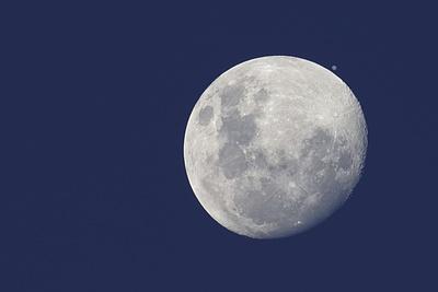 Photographic Print, , small