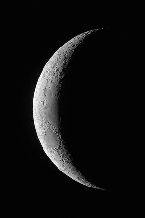 Photographic Print, , small