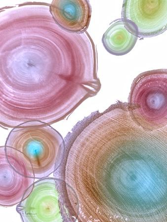 Photographic Print, , small