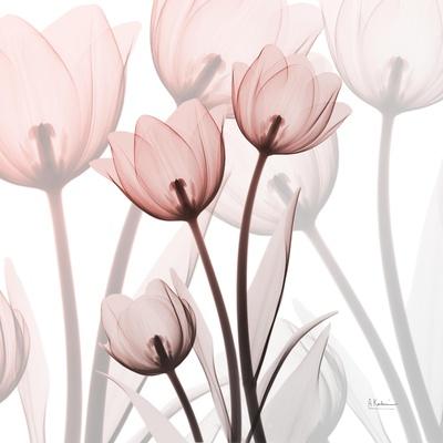 Photographic Print, , small