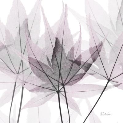 Photographic Print, , small