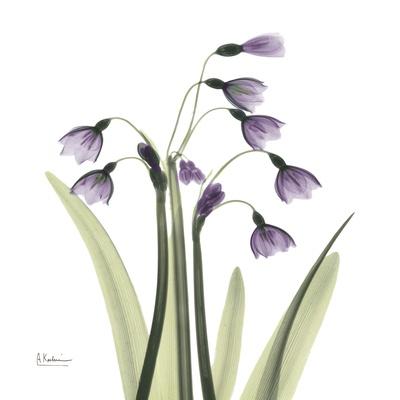 Photographic Print, , small