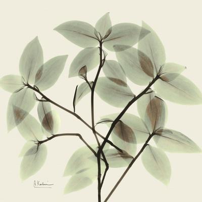 Photographic Print, , small