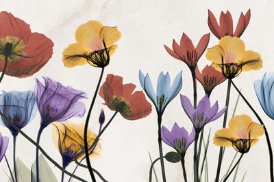 Photographic Print, , small