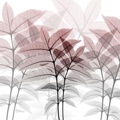 Photographic Print, , small