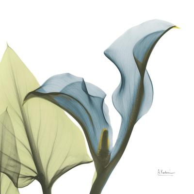 Photographic Print, , small
