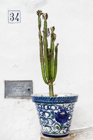 Photographic Print, , small