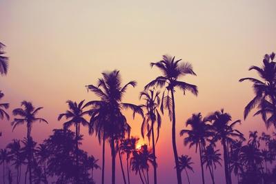 Photographic Print, , small
