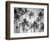 Palm Heaven-Design Fabrikken-Framed Photographic Print