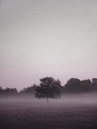 Photographic Print, , small