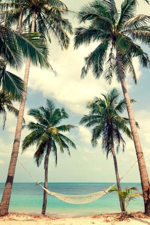 Photographic Print, , small
