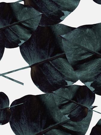 Photographic Print, , small