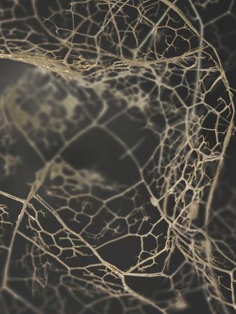 Photographic Print, , small