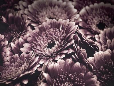 Photographic Print, , small
