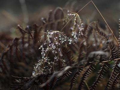 Photographic Print, , small