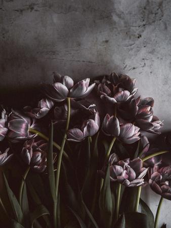 Photographic Print, , small