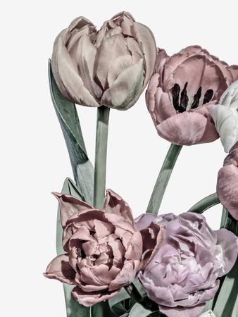 Photographic Print, , small